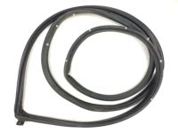 OEM 1997 Honda Accord Weatherstrip, R. FR. Door - 72310-SV1-013