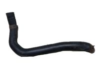 OEM 2012 Honda CR-V Hose, Water Lower - 19502-R5C-A00