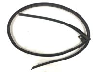 OEM 2002 Honda Accord Sub-Seal, R. FR. Door - 72325-S82-A02