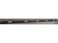 OEM 2005 Honda Civic Molding Assy., R. FR. Door - 72410-S5S-E01