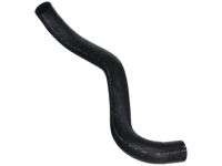 OEM Acura ILX Hose, Water (Lower) - 19506-RX0-A01