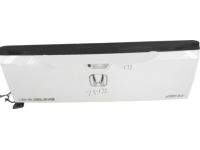 Honda 68100-T6Z-A91ZZ