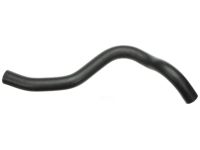 OEM Acura Hose, Water (Lower) - 19502-P8E-A00