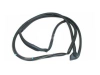 OEM Honda Weatherstrip, R. FR. Door - 72310-SNE-A01