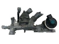 OEM Acura Passage, Water - 19410-RDJ-A01