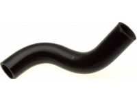 OEM 2002 Honda Civic Hose, Water (Lower) - 19502-PRA-000