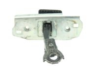 OEM 2009 Honda Civic Checker, Right Front Door - 72340-SVA-A01