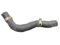 OEM 2009 Honda Fit Hose, Water (Lower) - 19502-RB0-000