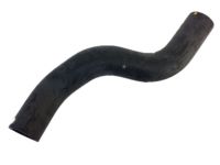 OEM 1997 Acura NSX Hose, Rear Water (Lower) (White Painted) - 19506-PR7-A01