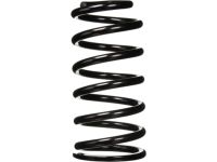 OEM 2007 Honda Civic Spring, Rear - 52441-SVB-A01