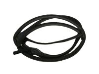 OEM Honda Accord Weatherstrip, L. RR. Door - 72850-S84-A01