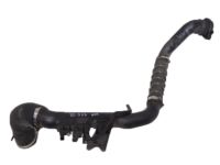 OEM Honda Pipe Comp, Dbw Inl - 17293-5AA-A01