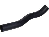 OEM Honda Accord Hose, Water (Upper) - 19501-RCA-A00