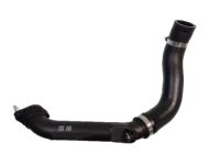 OEM Honda Hose, Intcler Inle - 17283-5AA-A01