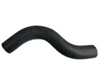 OEM 2000 Honda Civic Hose, Water (Upper) - 19501-P08-000