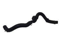 OEM 2005 Honda Civic Hose, Water (Lower) (A) - 19502-PZA-000