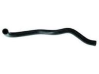 OEM Honda S2000 Hose, Water (Lower) - 19502-PCX-010