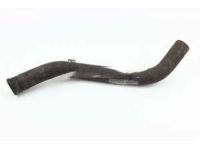 OEM 2019 Honda Accord Hose, Water (Lower) - 19502-6C1-A01