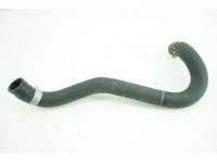 OEM 2010 Honda Civic Hose, Water (Lower) - 19504-RRA-A01