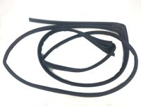 OEM 2003 Honda Accord Sub-Seal, R. RR. Door - 72825-SDA-A02