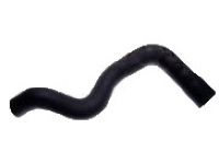 OEM Honda Element Hose, Water (Lower) - 19505-PZD-A10