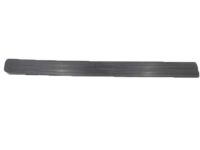 OEM 2000 Honda CR-V Protector, L. FR. Door *NH590* (BUMPER MEDIUM DARK GRAY) - 75322-S10-003ZA