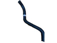 OEM Honda Hose, Water (Lower) - 19502-PGK-A00