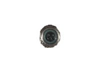 OEM Nut, Rear Arm (Lower) (10Mm) - 90216-SE0-010