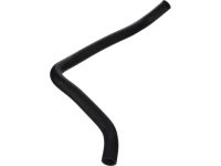 OEM 1999 Honda Accord Hose, Water (Lower) - 19502-PAA-A00