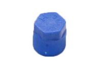 OEM Cap, Valve (H) - 80865-SEP-A11