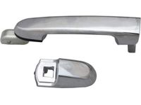 OEM 2022 Honda Ridgeline Handle, Left Rear (Lunar Silver Metallic) - 72681-T2A-A71YA