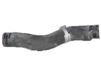 OEM 2022 Honda Accord Hose, Water (Upper) - 19501-6A1-H00