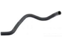 OEM 1997 Honda Civic del Sol Hose, Water (Lower) - 19502-P08-000