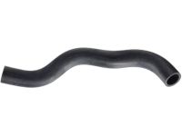 OEM Honda Hose, Water (Upper) - 19501-PZD-A00