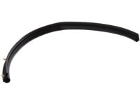 OEM 1999 Honda Accord Weatherstrip, FR. (Lower) - 72326-S84-A02