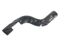 OEM 1998 Acura NSX Hose, Rear Water (Upper) (Yellow Painted) - 19507-PR7-A01