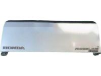 Honda 68100-SJC-A91ZZ