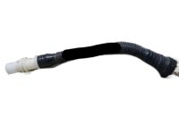 Honda 17725-SWA-A01