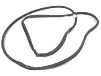 OEM 2017 Honda Accord Weatherstrip, R.FR - 72310-T2F-A01