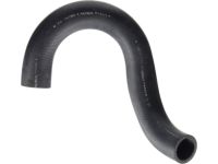 OEM Honda Element Hose, Water (Lower) - 19505-PZD-A00