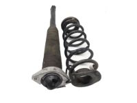 OEM Honda Civic Spring, Rear (23.1) - 52441-TBA-A03