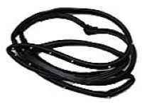 OEM 2002 Honda Odyssey Weatherstrip, Tailgate - 74440-S0X-A01
