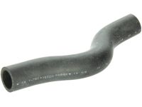 OEM 2002 Honda Civic Hose, Water (Upper) - 19501-PLC-000