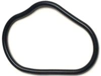 OEM O-Ring, Chain Case - 91302-PNA-004