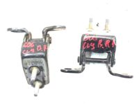 OEM 2005 Acura TSX Hinge, Right Rear Door (Lower) - 67920-SEA-003ZZ