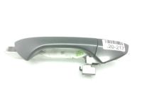 OEM 2008 Honda Accord Handle, Passenger Side (Polished Metal Metallic) - 72141-TA5-A01ZF