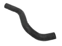 OEM 2006 Honda Civic Hose, Water (Lower) - 19504-RNB-A01