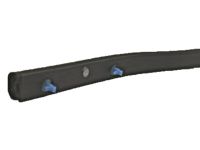 OEM Honda Odyssey Weatherstrip, FR. Door (Lower) - 72326-TK8-A01