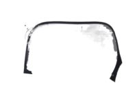 OEM 2004 Honda Pilot Sub-Seal, L. FR. Door - 72365-S9V-A01