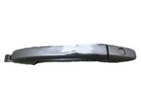 OEM 2009 Honda Pilot Handle Assembly, Driver Side Door (Outer) (Titanium Metallic) - 72180-SNE-A11ZQ